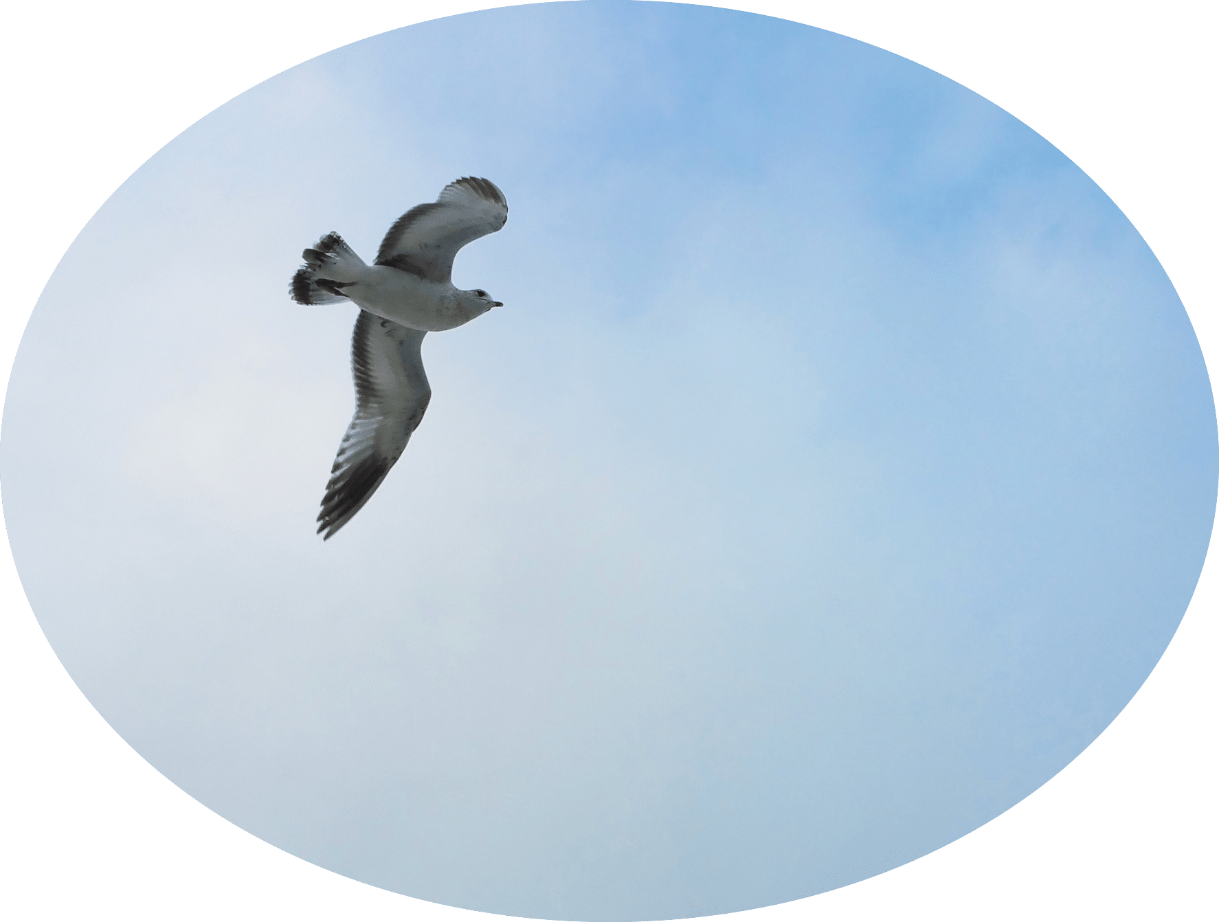 Sophrologie : Séances collectives, ateliers - Axe Session