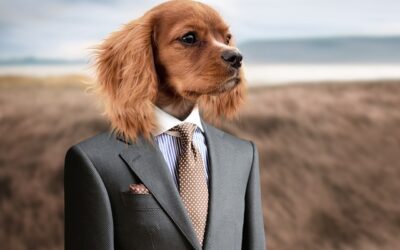Semaine du chien 2026 : une alliance millénaire